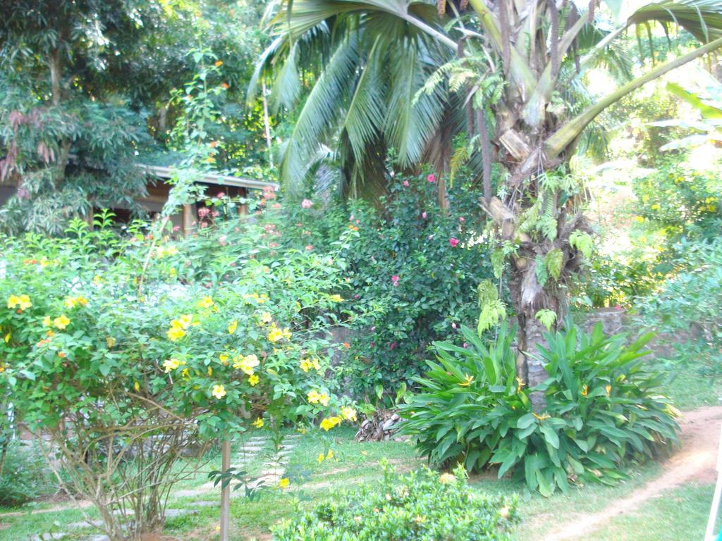 Cote Sud - Unique Villa & Bungalows Intendance Road Takamaka Ruang foto