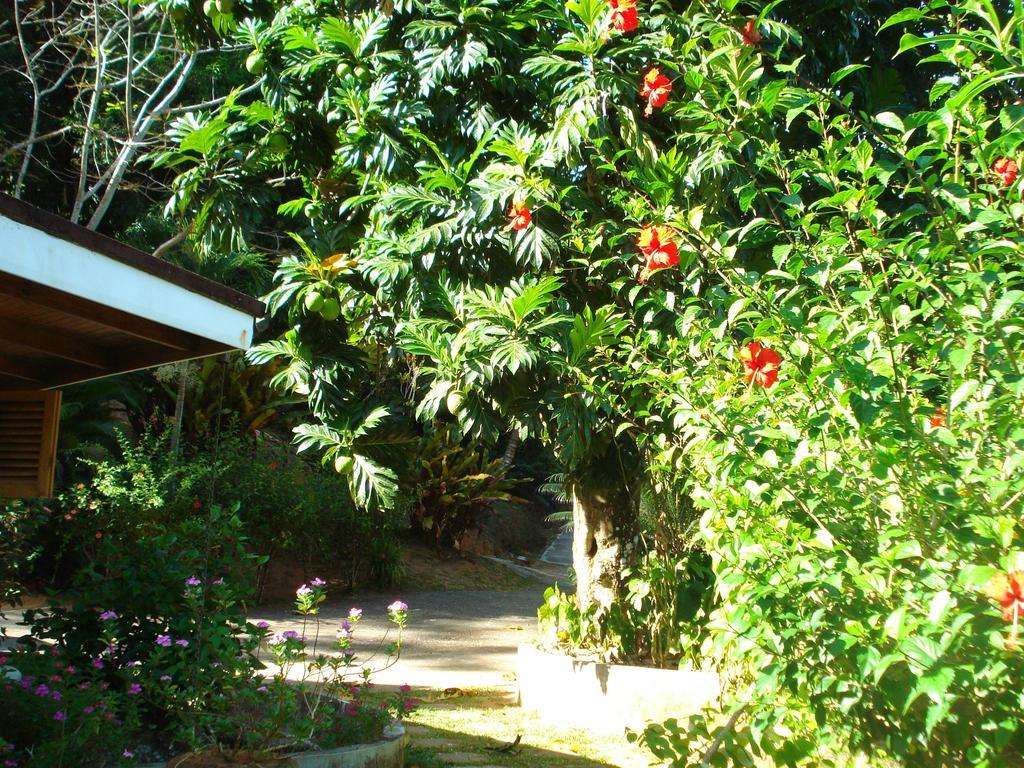 Cote Sud - Unique Villa & Bungalows Intendance Road Takamaka Ruang foto