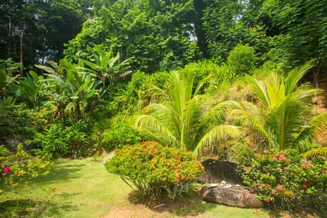 Cote Sud - Unique Villa & Bungalows Intendance Road Takamaka Bagian luar foto